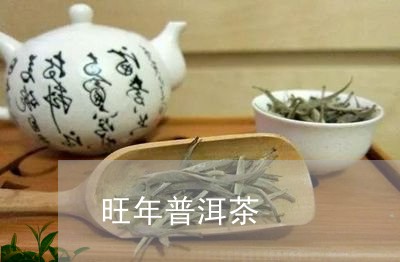 旺年普洱茶/2023090550637