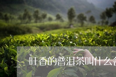 旺香的普洱茶叫什么名字/2023112757260