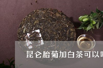 昆仑胎菊加白茶可以喝吗/2023102680814