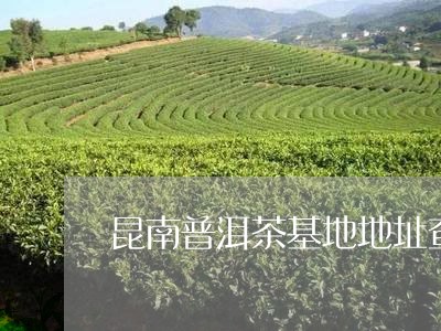 昆南普洱茶基地地址查询/2023120701505