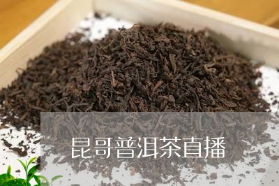 昆哥普洱茶直播/2023110949372