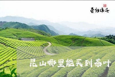 昆山哪里能买到茶叶/2023042562504