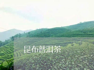 昆布普洱茶/2023090562692