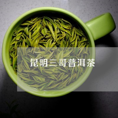 昆明三哥普洱茶/2023101634958