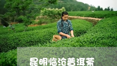 昆明临沧普洱茶/2023120368372