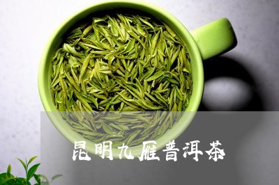 昆明九雁普洱茶/2023081596159