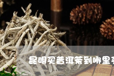 昆明买普洱茶到哪里买/2023062319583