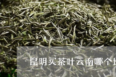 昆明买茶叶云南哪个地方茶叶最好/2023060160480