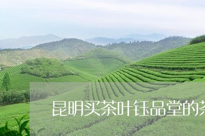 昆明买茶叶钰品堂的茶怎么样/2023052673927