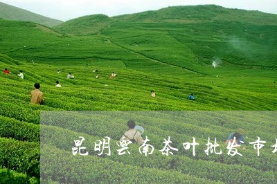 昆明云南茶叶批发市场在哪里/2023052648836