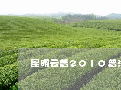 昆明云普2010普洱茶/2023110623140