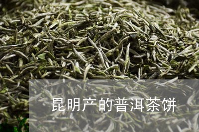 昆明产的普洱茶饼/2023121651624