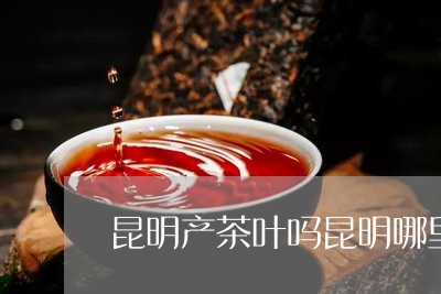 昆明产茶叶吗昆明哪里买茶叶不被骗/2023060418158