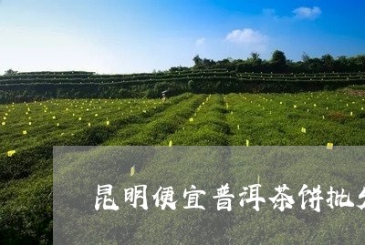 昆明便宜普洱茶饼批发地址/2023082905137