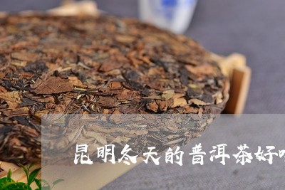 昆明冬天的普洱茶好喝吗/2023121617258