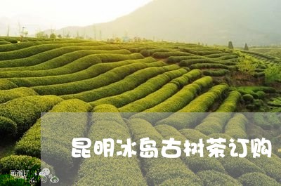 昆明冰岛古树茶订购/2023042679272