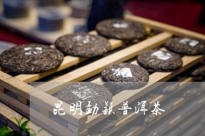 昆明勐颖普洱茶/2023081863148