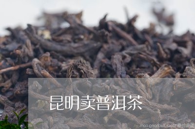 昆明卖普洱茶/2023042903443