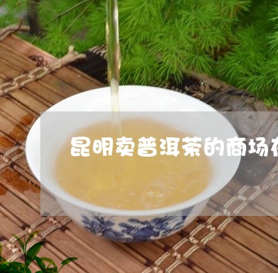 昆明卖普洱茶的商场在哪/2023110159493