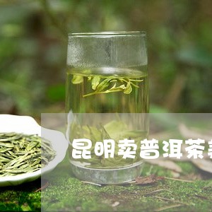 昆明卖普洱茶美女直播/2023120659515