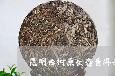 昆明古树原生态普洱茶/2023061641857