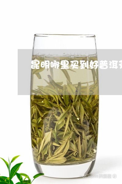 昆明哪里买到好普洱茶/2023100548462