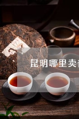 昆明哪里卖普洱茶最好/2023100558279