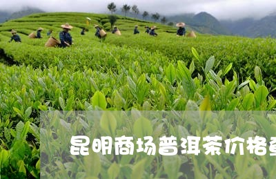 昆明商场普洱茶价格查询/2023121639483