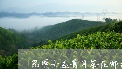 昆明大益普洱茶在哪卖呀/2023081473958