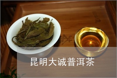 昆明大诚普洱茶/2023120359483