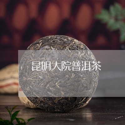 昆明大院普洱茶/2023120313724