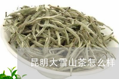 昆明大雪山茶怎么样/2023042008469