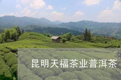 昆明天福茶业普洱茶/2023071116271