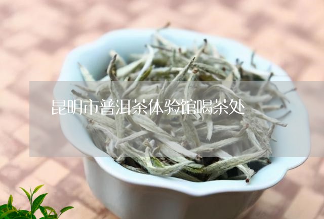 昆明市普洱茶体验馆喝茶处/2023110254947