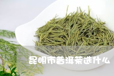 昆明市普洱茶选什么/2023120529726