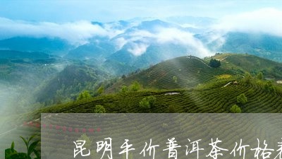 昆明平价普洱茶价格表及图片/2023110667271