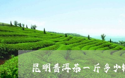 昆明普洱茶一斤多少钱/2023062879504