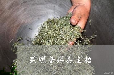 昆明普洱茶主播/2023112647369