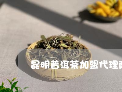 昆明普洱茶加盟代理商/2023061432046