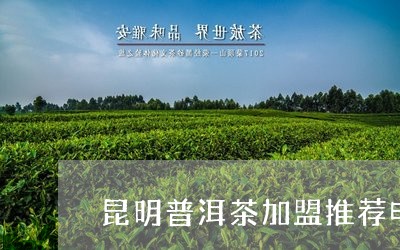 昆明普洱茶加盟推荐电话/2023110674836