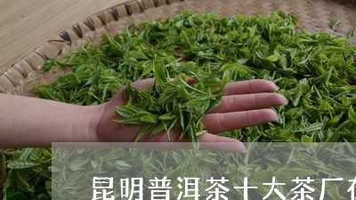 昆明普洱茶十大茶厂在哪里/2023112909693