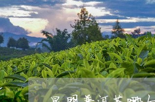 昆明普洱茶哪个茶店好/2023062453814