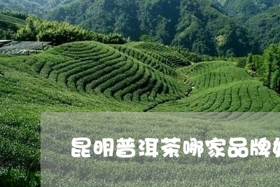 昆明普洱茶哪家品牌好些/2023081483793