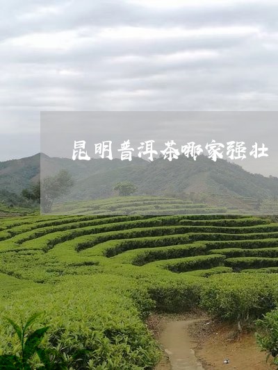 昆明普洱茶哪家强壮/2023070829602