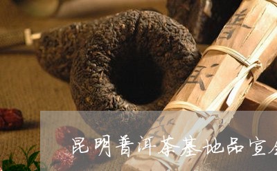 昆明普洱茶基地品宣会/2023120651505