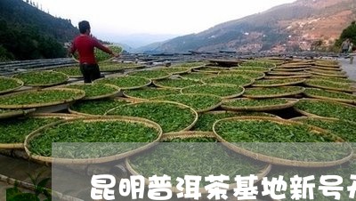 昆明普洱茶基地新号开工了吗/2023082882947