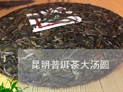 昆明普洱茶大汤圆/2023081677270