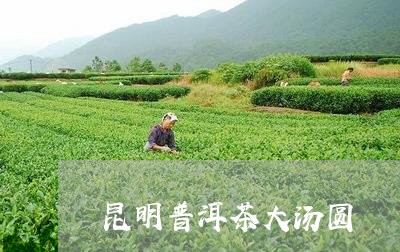 昆明普洱茶大汤圆/2023101626148