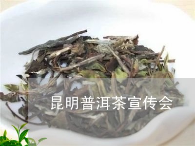 昆明普洱茶宣传会/2023121621048