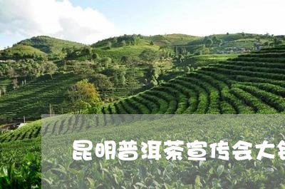 昆明普洱茶宣传会大锤/2023120698372